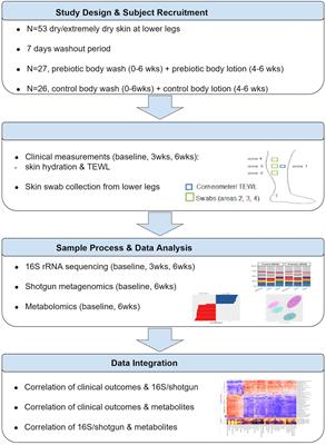 Multi-omic approach to decipher the impact of skincare products with pre/postbiotics on skin microbiome and metabolome